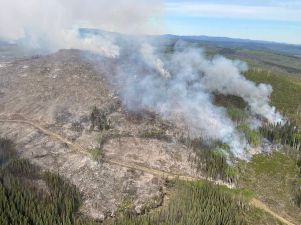 Dozens of firefighters responding to large wildfire burning out of control in B.C.